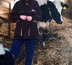 Fotoboek Hornhuizen