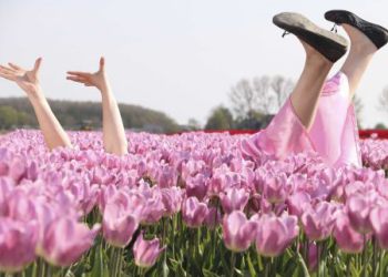Fotografie