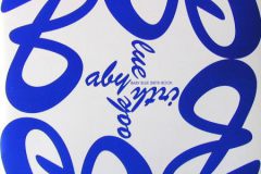 Boekje Baby Blue