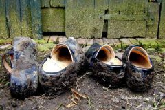 Uit de klei getrokken