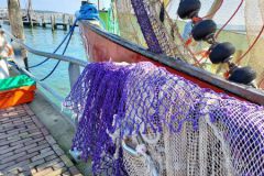 Haven Terschelling