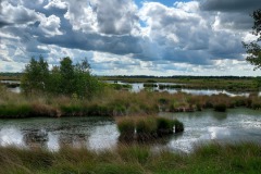 Fochtelooerveen