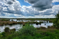 Fochtelooerveen
