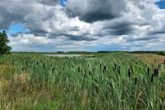Fochtelooerveen