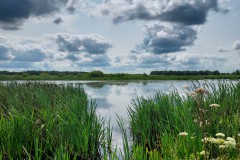 Fochtelooerveen