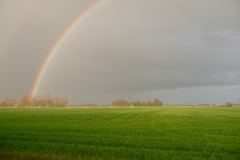 Regenboog Warfhuizen