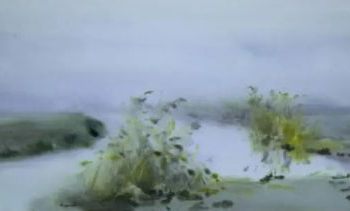 Riet