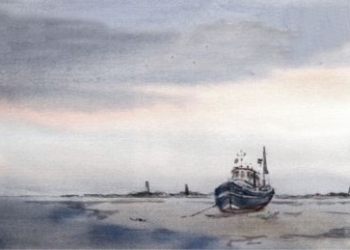 Kotter op 't wad