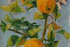 Evert Meilink