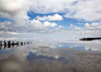 Wadden