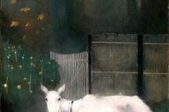 Witte geit