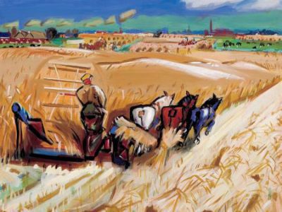 Boerenbedrijf., 1955