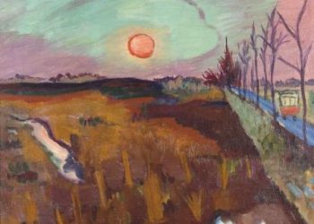 Balloerveld bij Gasteren