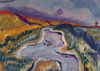 Poel met eenden achter waddendijk Ameland