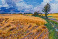 Groninger landschap in de wind