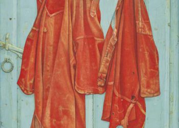 Roodbaaien hemden op blauwe deur