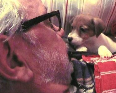 Puppie 9 weken