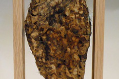 Dubbelzijdige inlijsting cactus