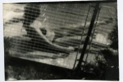 Miroslav Tichy
