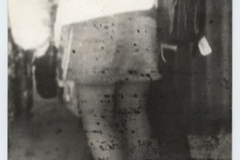 Miroslav Tichy