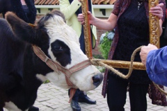 Opening door blaarkop