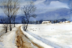 Dick van Veen
