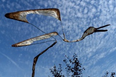 Noor Agter