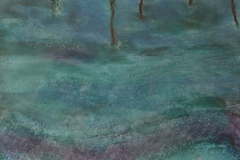 Walburgis Meijers