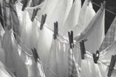 Kees Scherer - Waslijnen