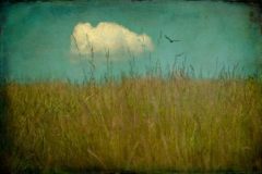 Jamie Heiden